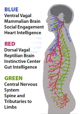 A Course in Trusting Gut Instincts